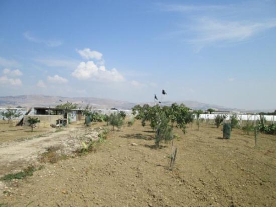 Terreno agricolo in vendita a Licata