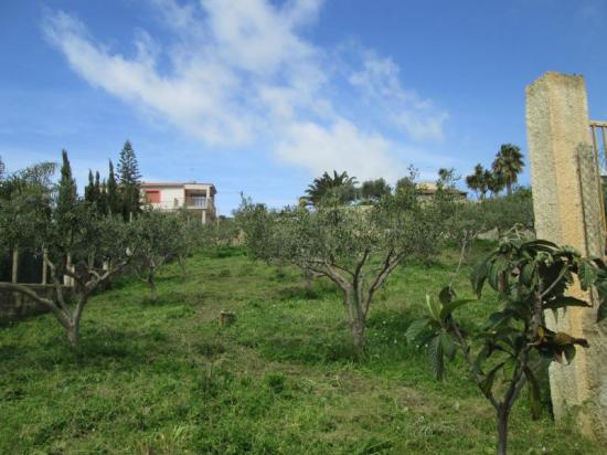 Terreno agricolo in vendita a Licata