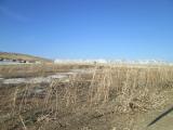 Terreno agricolo in vendita a Licata