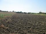 Terreno agricolo in vendita a Licata