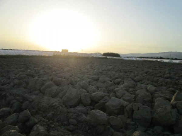 Terreno agricolo in vendita a Licata