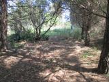 Terreno agricolo in vendita a Licata