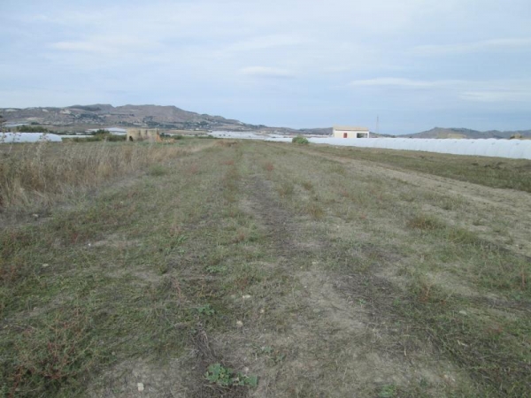 Terreno agricolo in vendita a Licata