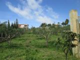 Terreno agricolo in vendita a Licata