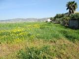 Terreno agricolo a Licata