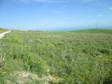 Terreno agricolo in vendita a Licata