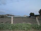 Terreno agricolo in vendita a Licata