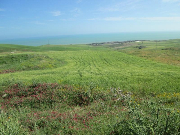 Terreno agricolo in vendita a Licata