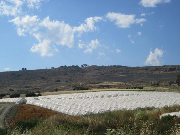 Terreno agricolo in vendita a Licata