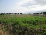 Terreno agricolo in vendita a Licata