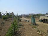 Terreno agricolo in vendita a Licata