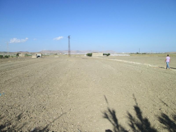 Terreno agricolo in vendita a Licata