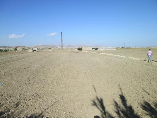 Terreno agricolo in vendita a Licata