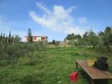 Terreno agricolo in vendita a Licata