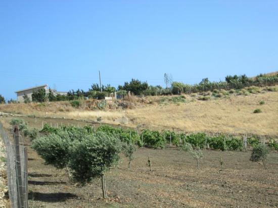 Terreno agricolo in vendita  Licata