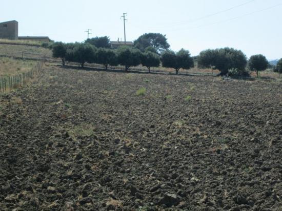 Terreno agricolo in vendita a Licata