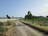 Terreno agricolo in vendita a Licata