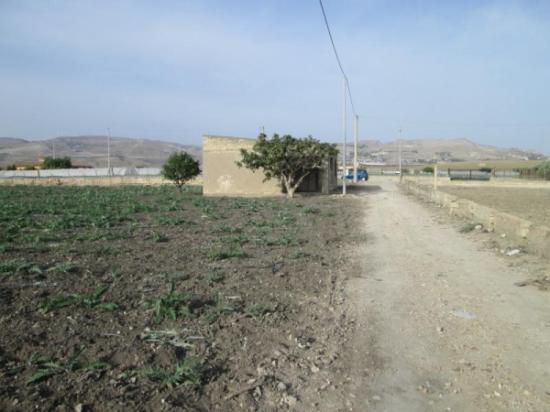 Terreno agricolo in vendita a Licata