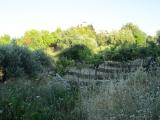 Terreno agricolo in vendita a Licata