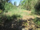 Terreno agricolo in vendita a Licata