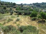 Terreno agricolo in vendita a Licata