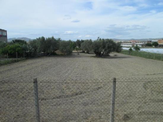 Terreno agricolo in vendita a Licata