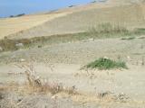 Terreno agricolo in vendita a Licata