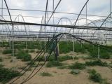 Terreno agricolo in vendita a Licata