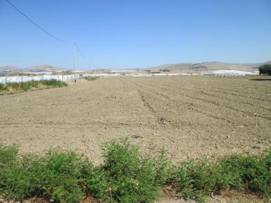 Terreno agricolo in vendita a Licata