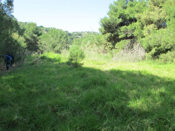 Terreno agricolo in vendita a Licata