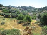 Terreno agricolo in vendita a Licata