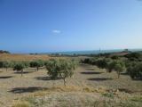 Terreno agricolo in vendita a Licata