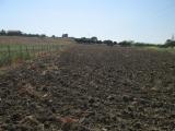 Terreno agricolo in vendita a Licata