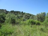 Terreno agricolo in vendita a Licata