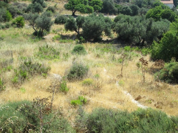 Terreno agricolo in vendita a Licata