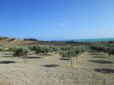 Terreno agricolo in vendita a Licata