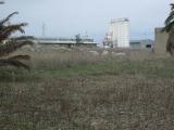Vendita terreno agricolo a Licata