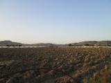 Terreno agricolo in vendita a Licata