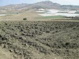 Terreno agricolo in vendita a Licata